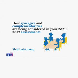 Synergies in the Mediterranean during Implementation