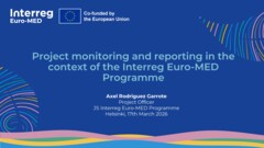 Navigating Project Monitoring: practices, challenges, and new perspectives