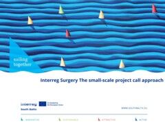 The small-scale project call approach