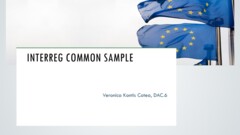 2.Interreg common sample